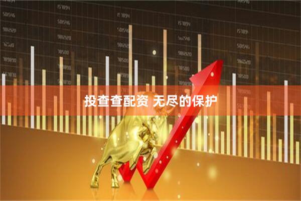 投查查配资 无尽的保护